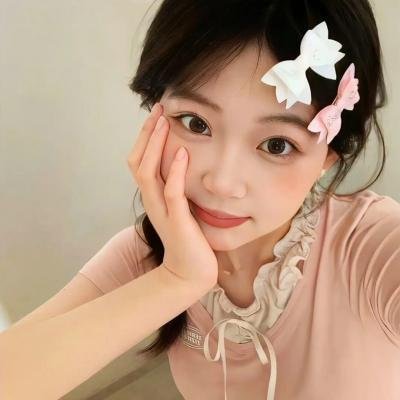 侵入者