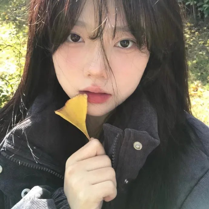 月之心
